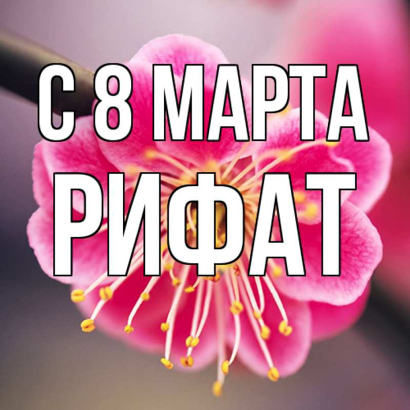 Картинка C 8 МАРТА, Рифат
