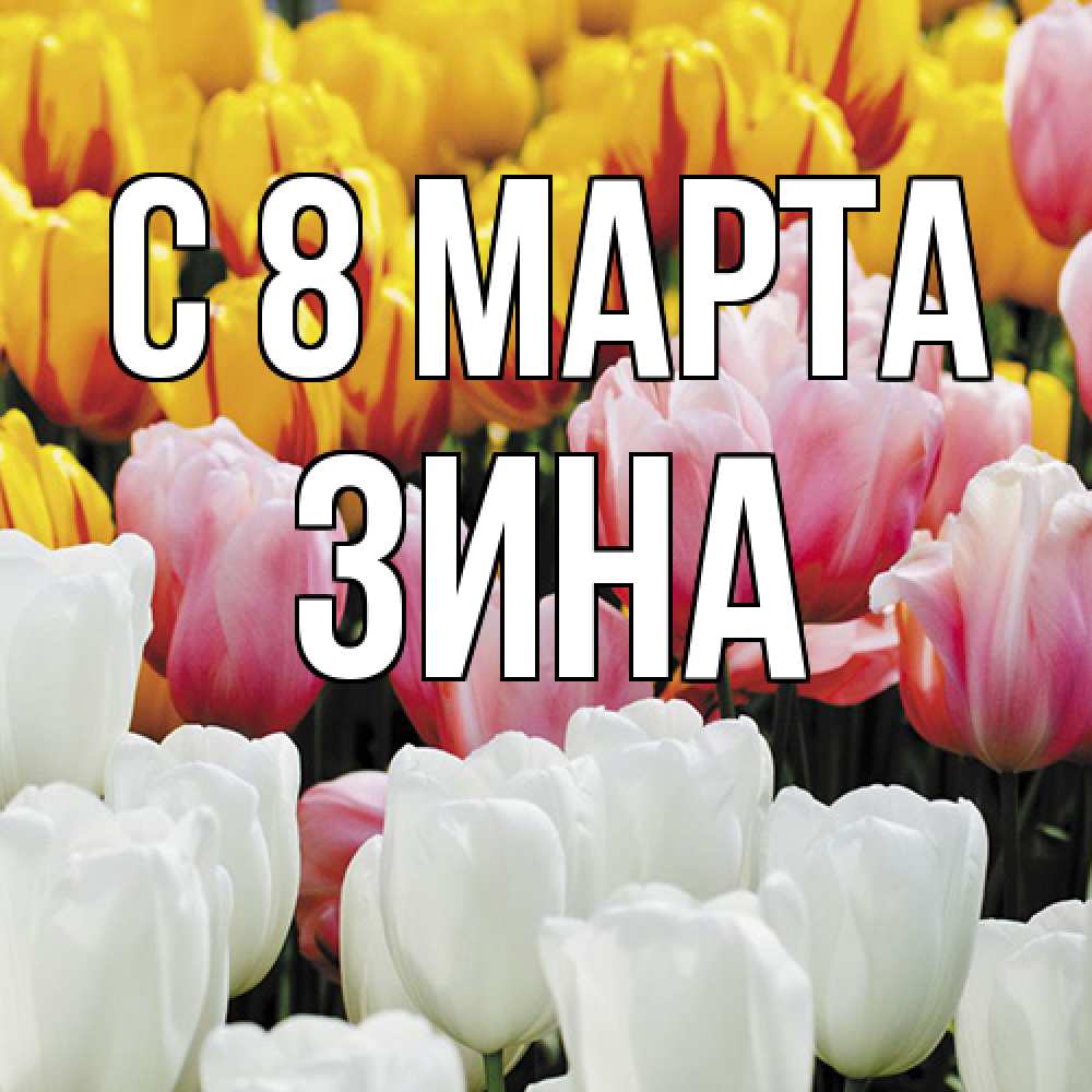 Открытка на каждый день с именем, Зина C 8 МАРТА разноцветные цветы Прикольная открытка с пожеланием онлайн скачать бесплатно 