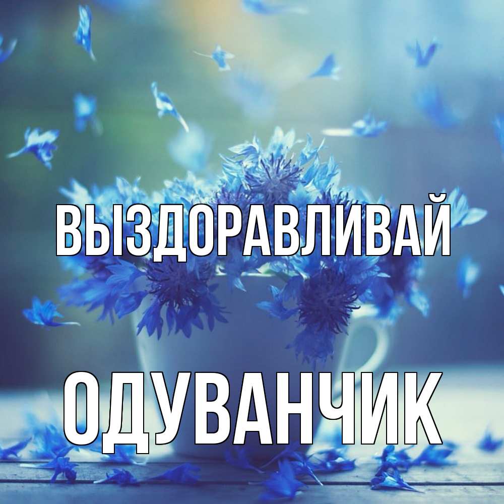 Открытка на каждый день с именем, Одуванчик Выздоравливай кружка с зельем и цветами Прикольная открытка с пожеланием онлайн скачать бесплатно 