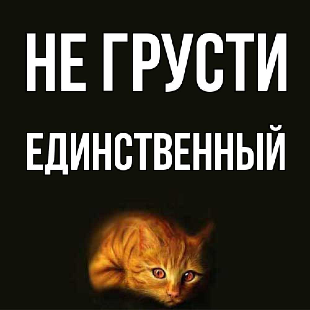Открытка на каждый день с именем, Единственный Не грусти лежащий кот в темноте Прикольная открытка с пожеланием онлайн скачать бесплатно 