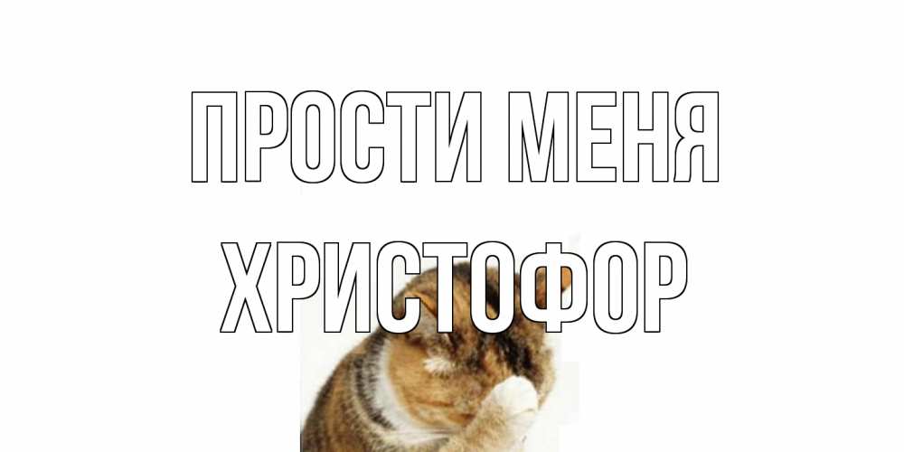 Открытка на каждый день с именем, Христофор Прости меня кот Прикольная открытка с пожеланием онлайн скачать бесплатно 