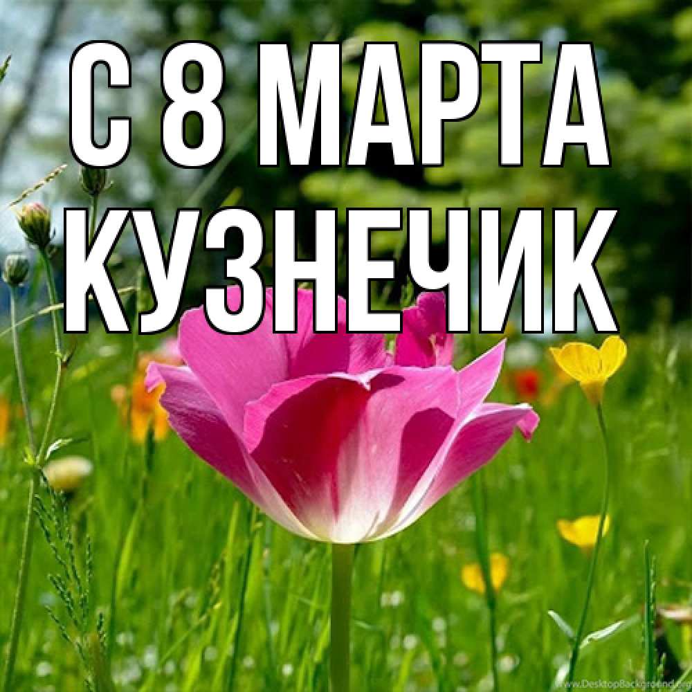 Открытка на каждый день с именем, Кузнечик C 8 МАРТА полевые цветы Прикольная открытка с пожеланием онлайн скачать бесплатно 