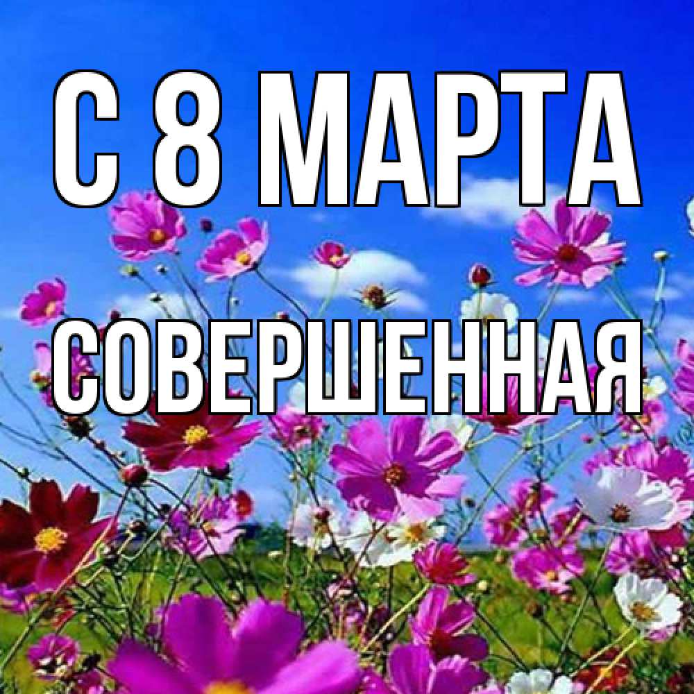 Открытка на каждый день с именем, Совершенная C 8 МАРТА цветы Прикольная открытка с пожеланием онлайн скачать бесплатно 