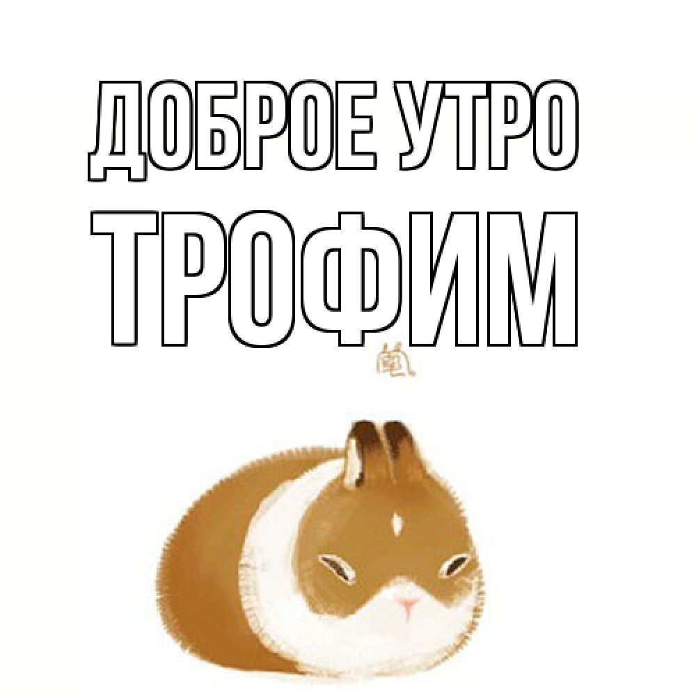 Открытка на каждый день с именем, Трофим Доброе утро хорошего утречка Прикольная открытка с пожеланием онлайн скачать бесплатно 
