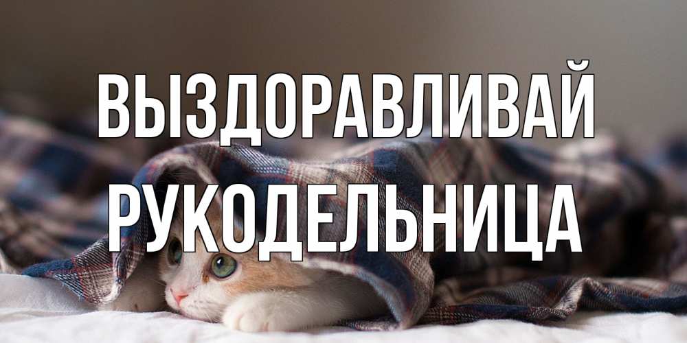 Открытка на каждый день с именем, Рукодельница Выздоравливай не болейте с котиком Прикольная открытка с пожеланием онлайн скачать бесплатно 