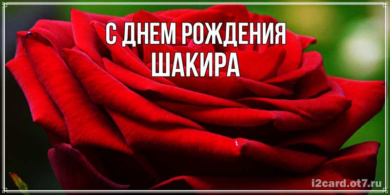 Картинка С днем рождения, Шакира