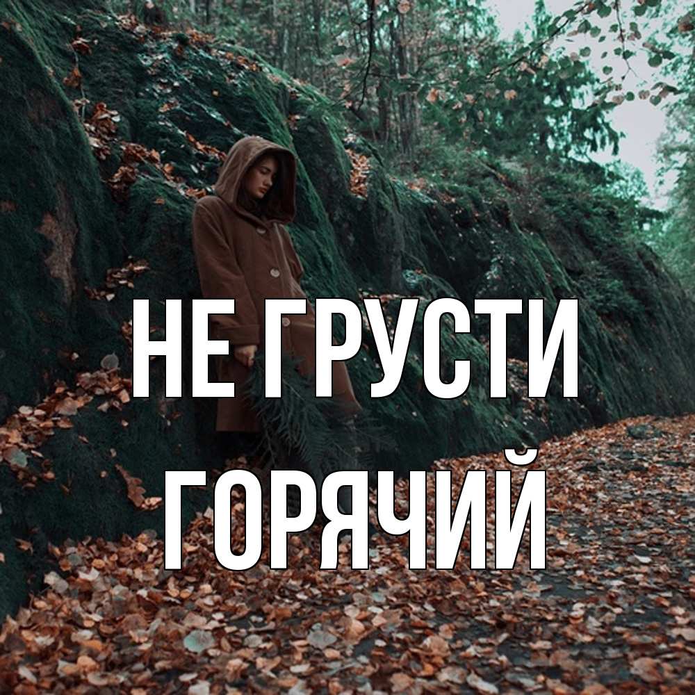 Открытка на каждый день с именем, Горячий Не грусти осенний лес Прикольная открытка с пожеланием онлайн скачать бесплатно 