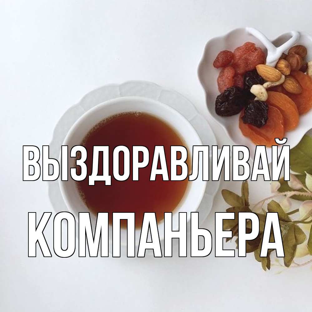 Открытка на каждый день с именем, Компаньера Выздоравливай неизвестные растения Прикольная открытка с пожеланием онлайн скачать бесплатно 