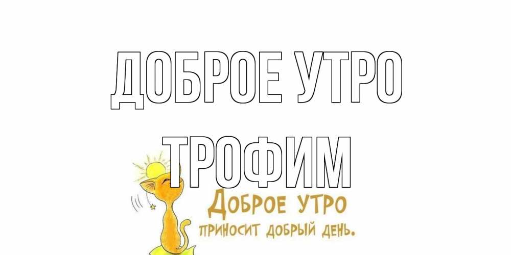 Открытка на каждый день с именем, Трофим Доброе утро кот, солнце Прикольная открытка с пожеланием онлайн скачать бесплатно 