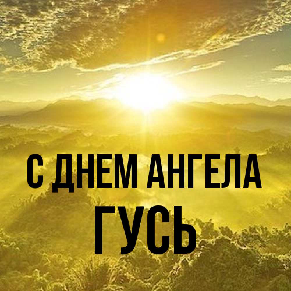 Открытка на каждый день с именем, Гусь С днем ангела леса и небо в желтом Прикольная открытка с пожеланием онлайн скачать бесплатно 
