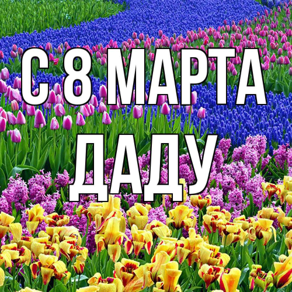 Открытка на каждый день с именем, Даду C 8 МАРТА цветы Прикольная открытка с пожеланием онлайн скачать бесплатно 