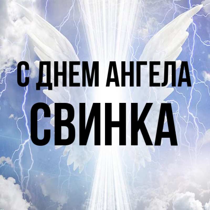 Картинка С днем ангела, Свинка