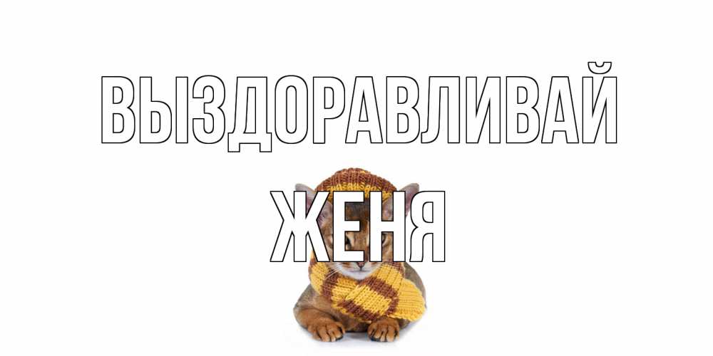 Открытка на каждый день с именем, Женя Выздоравливай родные не болейте Прикольная открытка с пожеланием онлайн скачать бесплатно 