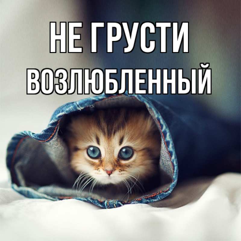 Картинка Не грусти, Возлюбленный