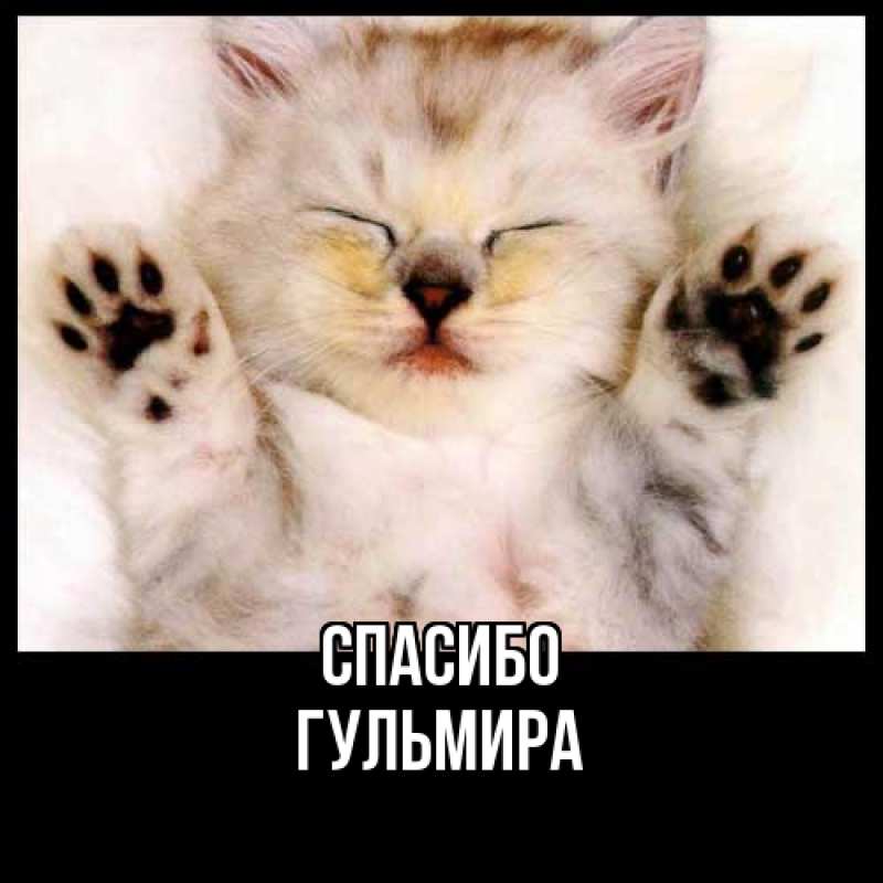 Картинка Спасибо, Гульмира