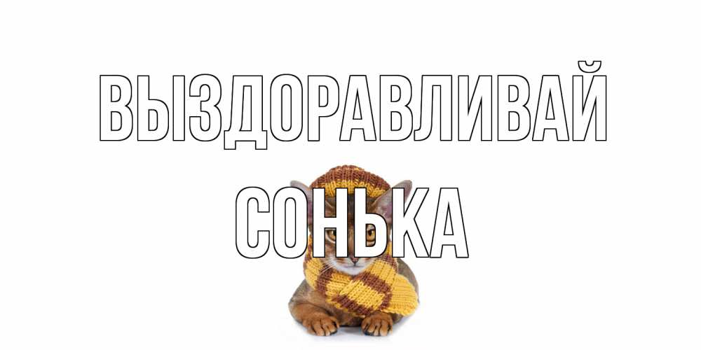 Открытка на каждый день с именем, Сонька Выздоравливай родные не болейте Прикольная открытка с пожеланием онлайн скачать бесплатно 