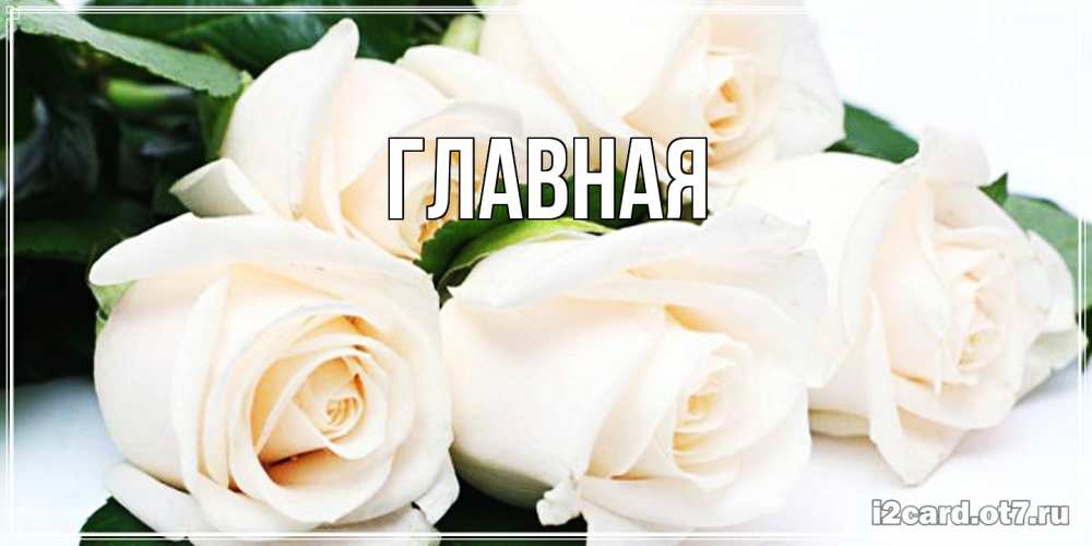 Открытка на каждый день с именем, настя Главная открытка с красивыми белыми розами для родных Прикольная открытка с пожеланием онлайн скачать бесплатно 