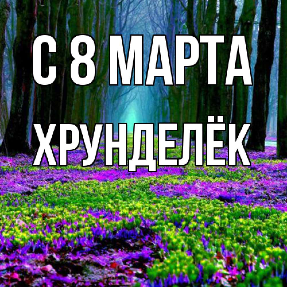 Открытка на каждый день с именем, Хрунделёк C 8 МАРТА фиолетовые цветы в лесу 1 Прикольная открытка с пожеланием онлайн скачать бесплатно 