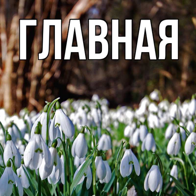 Картинка  с именем , настя