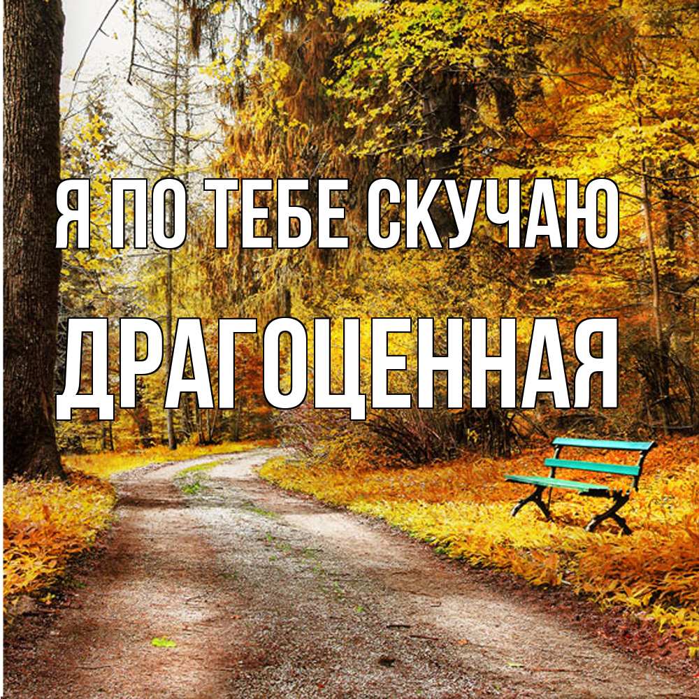 Открытка на каждый день с именем, Драгоценная Я по тебе скучаю зеленая лавочка и осенний лес Прикольная открытка с пожеланием онлайн скачать бесплатно 
