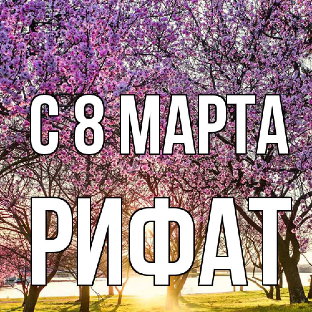 Открытка на каждый день с именем, Рифат C 8 МАРТА международный женский день Прикольная открытка с пожеланием онлайн скачать бесплатно 