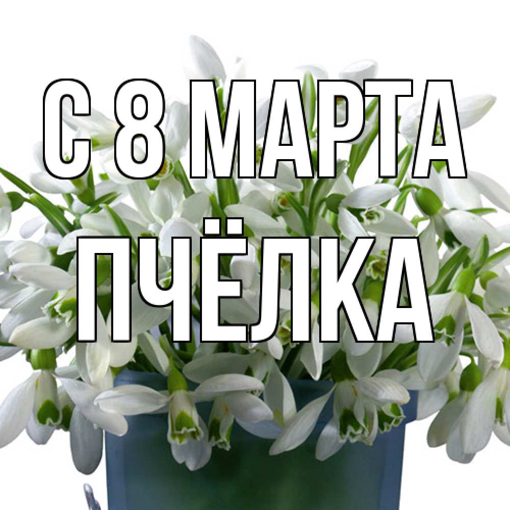 Открытка на каждый день с именем, Пчёлка C 8 МАРТА цветы к международному женскому дню Прикольная открытка с пожеланием онлайн скачать бесплатно 