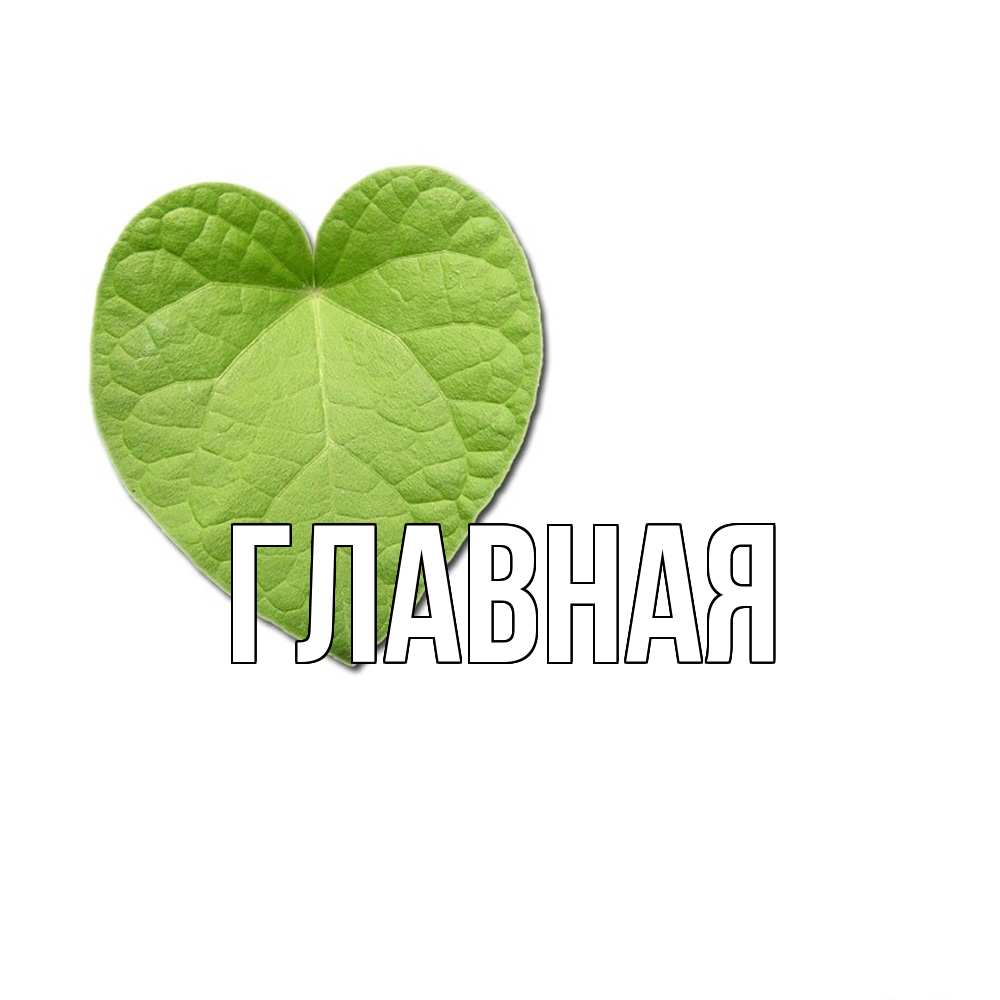 Открытка на каждый день с именем, настя Главная тебе Прикольная открытка с пожеланием онлайн скачать бесплатно 