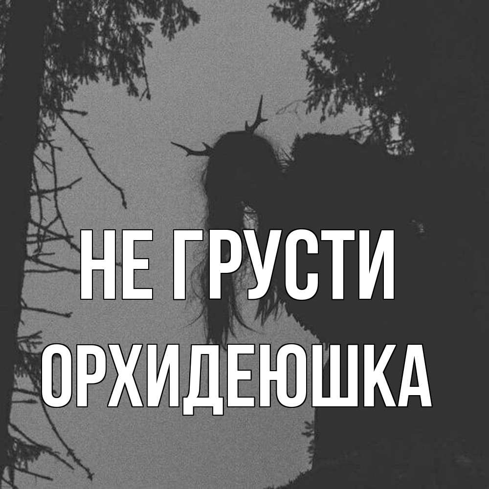 Открытка на каждый день с именем, Орхидеюшка Не грусти чудище лесное Прикольная открытка с пожеланием онлайн скачать бесплатно 