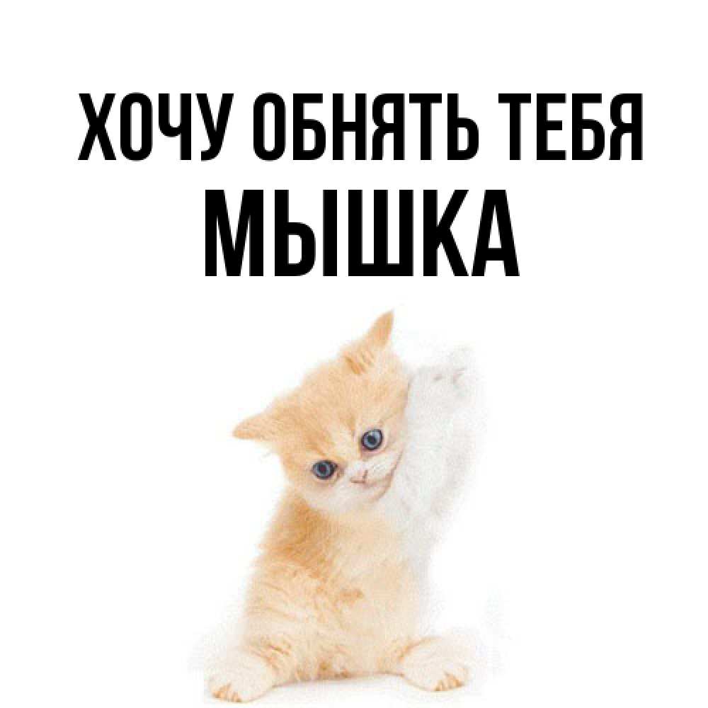 Открытка на каждый день с именем, Мышка Хочу обнять тебя я хочу очень скорее обнимаешек Прикольная открытка с пожеланием онлайн скачать бесплатно 
