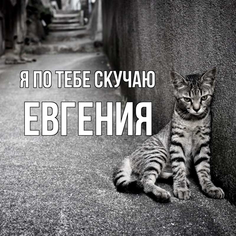 Картинка Я по тебе скучаю, Евгения