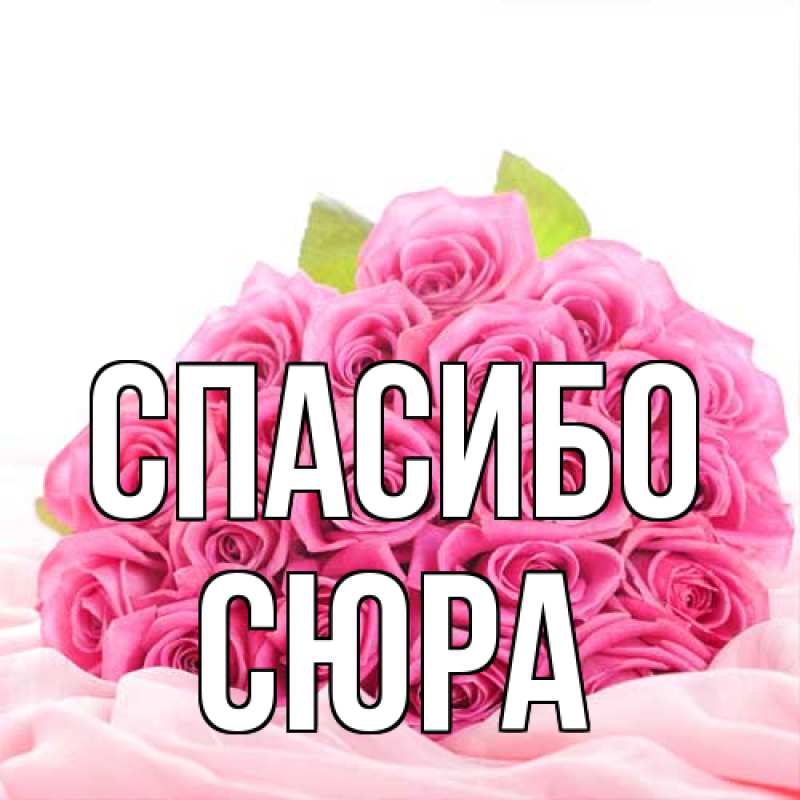 Картинка Спасибо, СЮРА