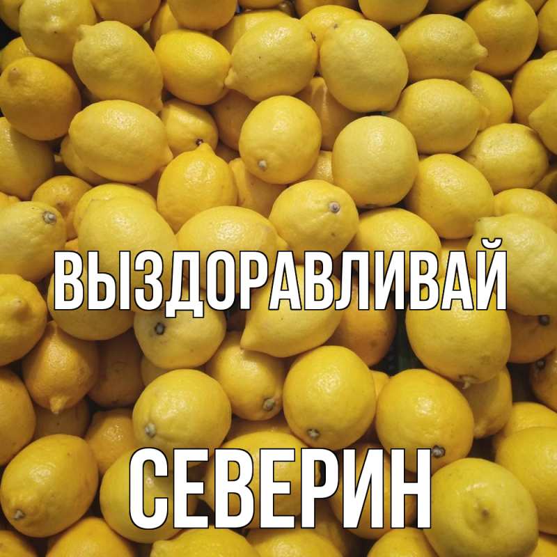 Картинка Выздоравливай, Северин