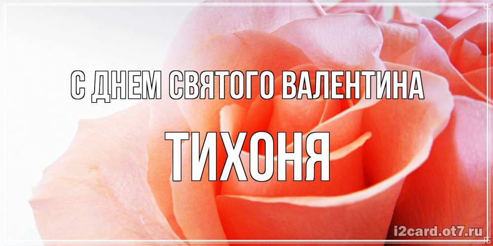 Открытка на каждый день с именем, Тихоня С днем Святого Валентина открытка на день Святого Валентина с розовой розой Прикольная открытка с пожеланием онлайн скачать бесплатно 