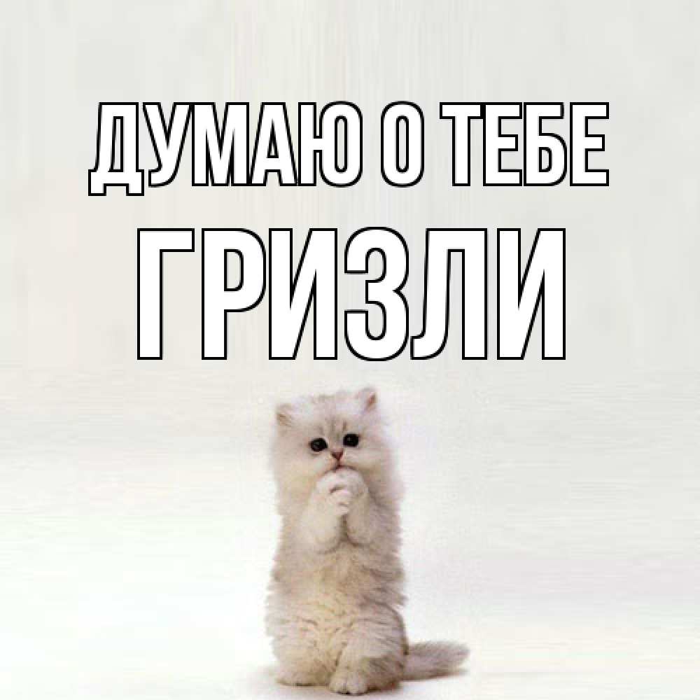 Открытка на каждый день с именем, Гризли Думаю о тебе кот стоит на задних лапах Прикольная открытка с пожеланием онлайн скачать бесплатно 