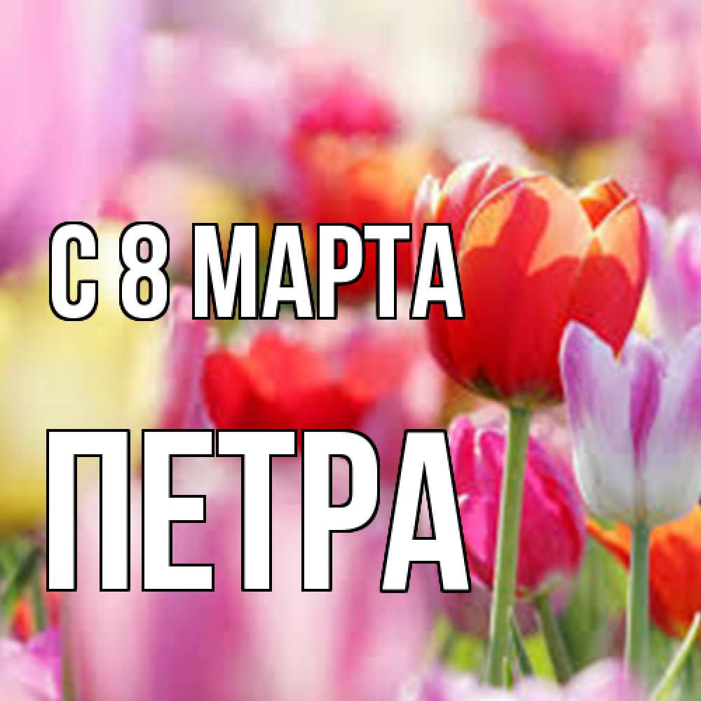 Открытка на каждый день с именем, Петра C 8 МАРТА на международный женский день 2 Прикольная открытка с пожеланием онлайн скачать бесплатно 