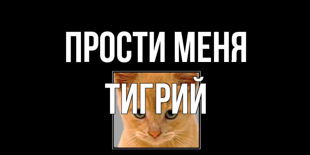 Открытка на каждый день с именем, Тигрий Прости меня рыжий грустный кот просит прощения Прикольная открытка с пожеланием онлайн скачать бесплатно 