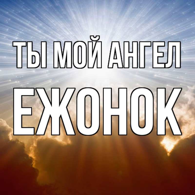 Картинка Ты мой ангел, Ежонок