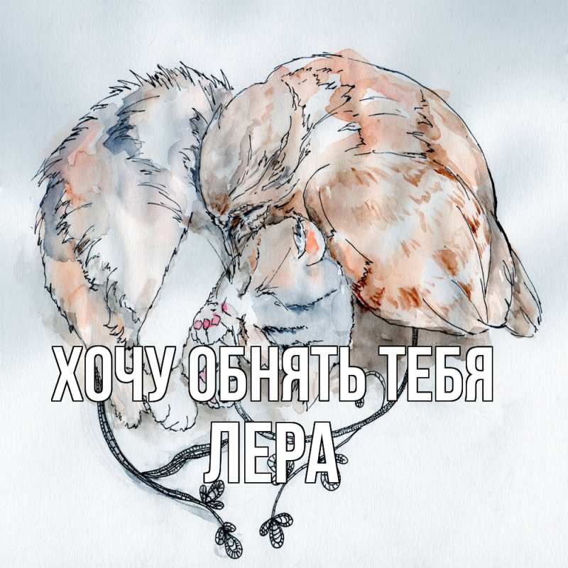 Картинка Хочу обнять тебя, Лера