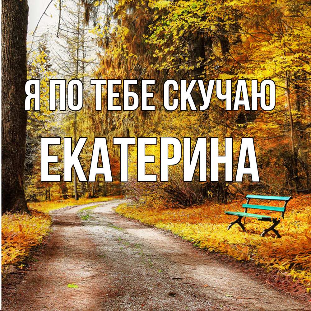 Открытка на каждый день с именем, Екатерина Я по тебе скучаю зеленая лавочка и осенний лес Прикольная открытка с пожеланием онлайн скачать бесплатно 