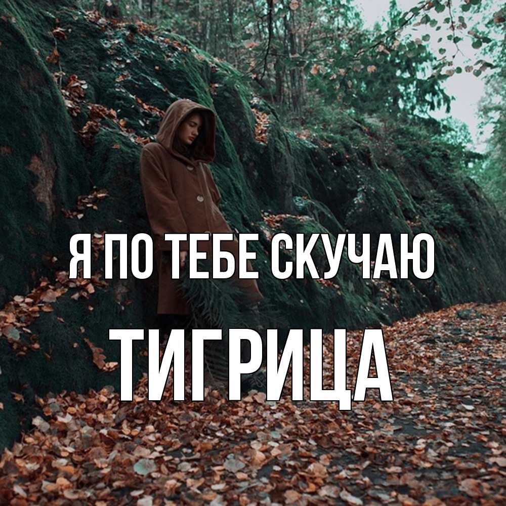 Открытка на каждый день с именем, Тигрица Я по тебе скучаю скука 1 Прикольная открытка с пожеланием онлайн скачать бесплатно 