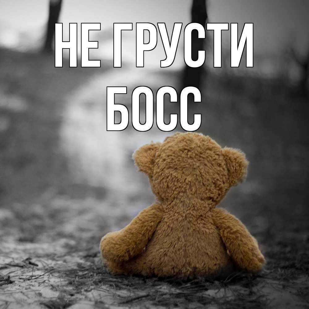 Открытка на каждый день с именем, Босс Не грусти медведь со спин Прикольная открытка с пожеланием онлайн скачать бесплатно 
