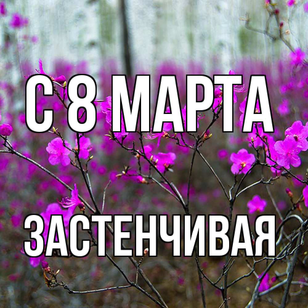 Открытка на каждый день с именем, Застенчивая C 8 МАРТА дикие цветы Прикольная открытка с пожеланием онлайн скачать бесплатно 