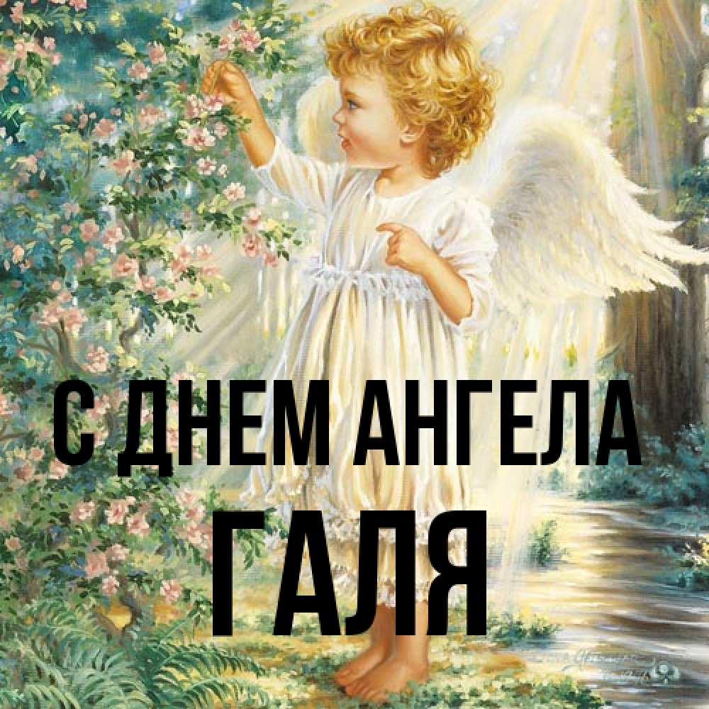 Открытка на каждый день с именем, Галя С днем ангела собирает цветы Прикольная открытка с пожеланием онлайн скачать бесплатно 