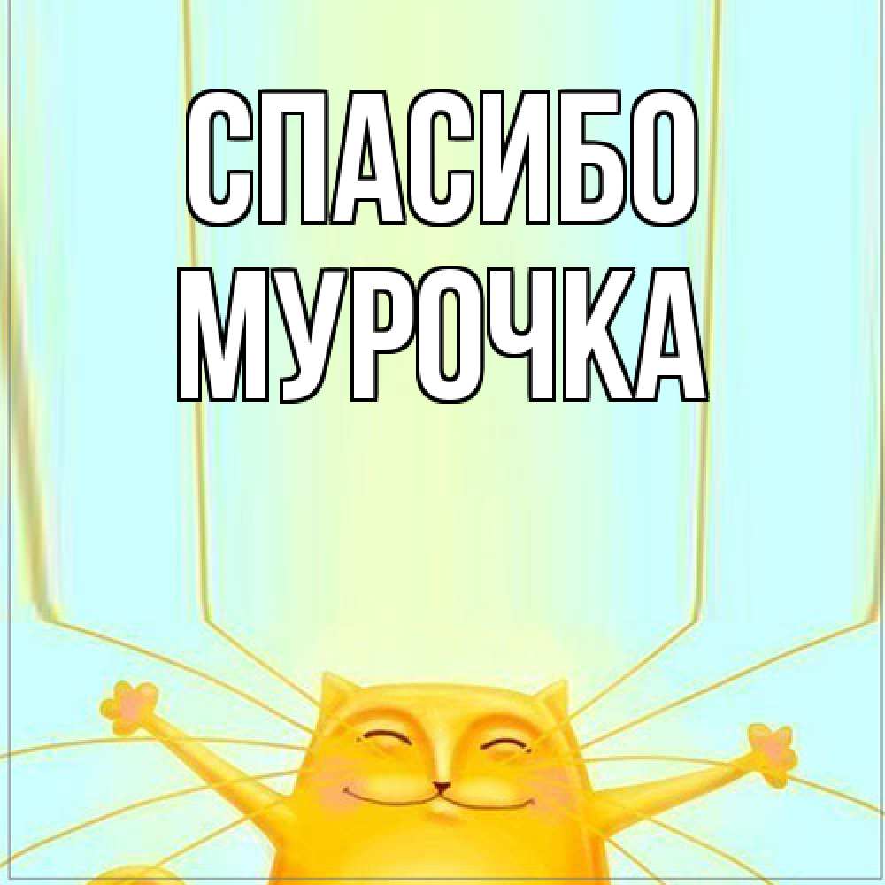 Открытка на каждый день с именем, Мурочка Спасибо кот с усами благодарит Прикольная открытка с пожеланием онлайн скачать бесплатно 