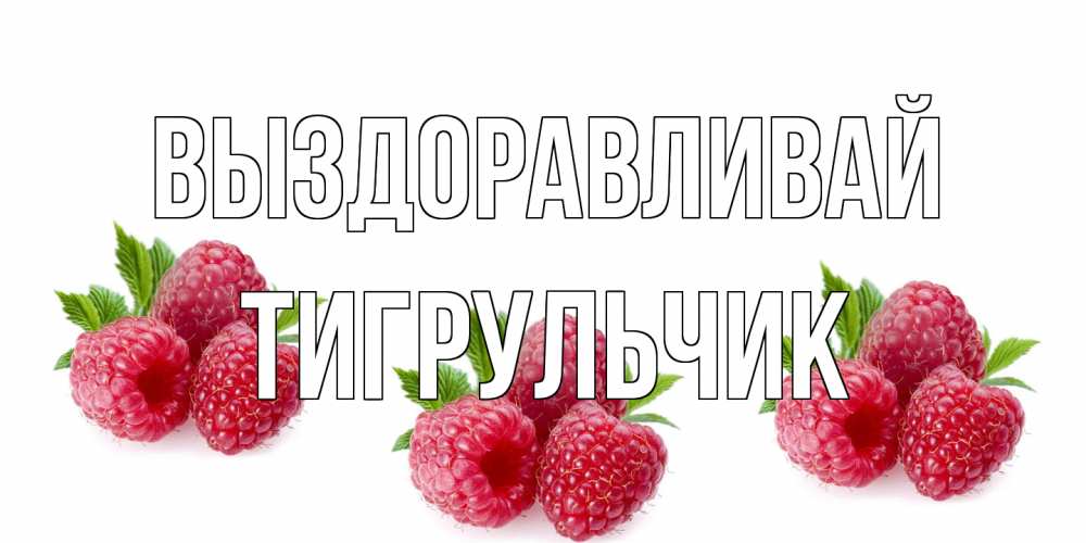 Открытка на каждый день с именем, Тигpульчик Выздоравливай малиновая открыта с пожеланием о выздоровлении Прикольная открытка с пожеланием онлайн скачать бесплатно 