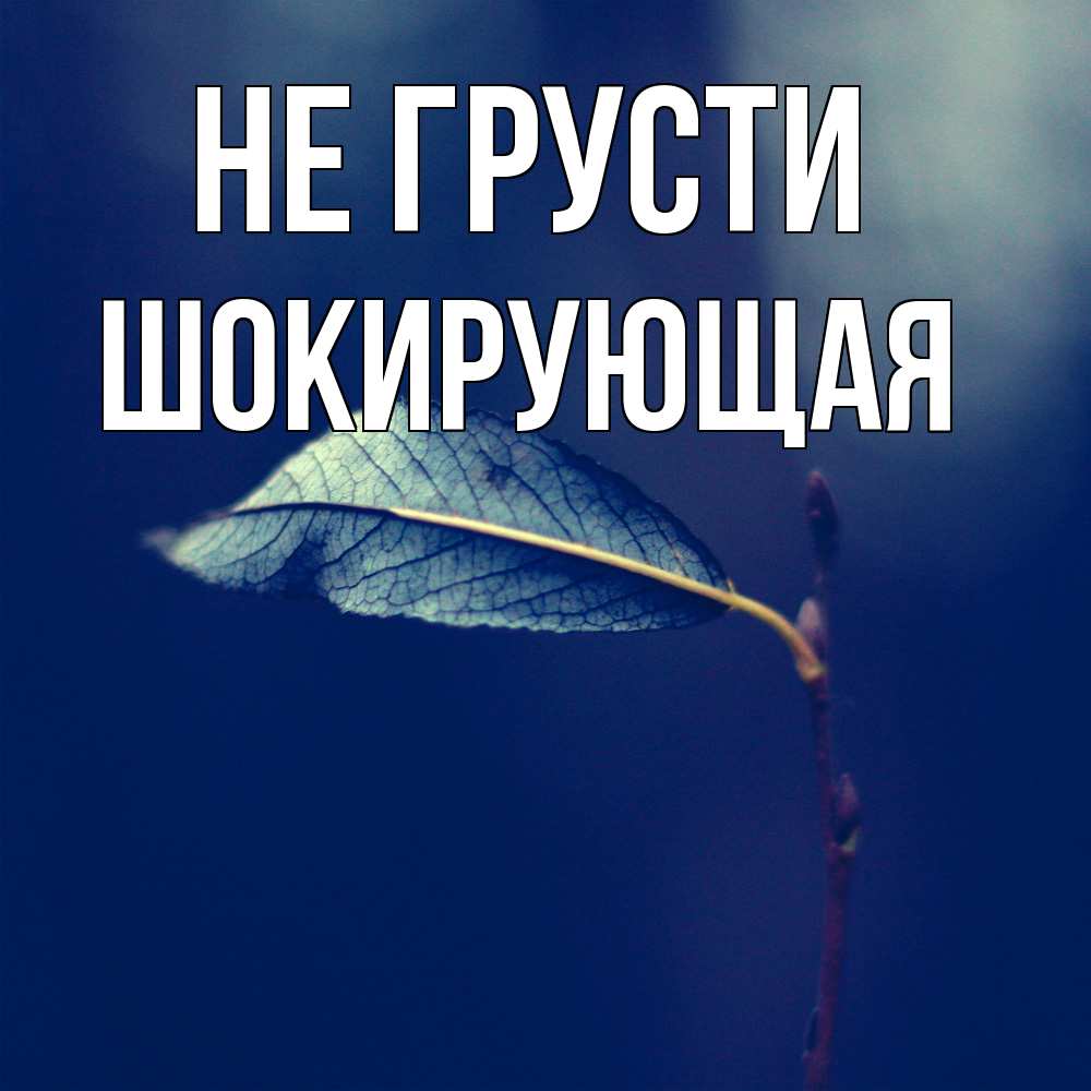 Открытка на каждый день с именем, Шокирующая Не грусти растение Прикольная открытка с пожеланием онлайн скачать бесплатно 