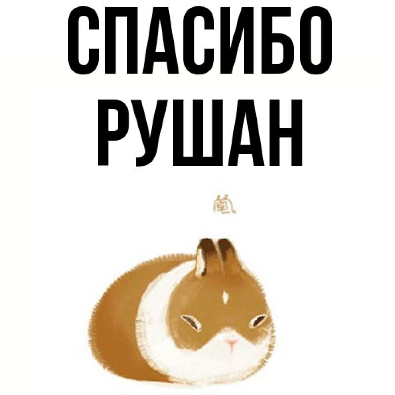 Картинка Спасибо, Рушан