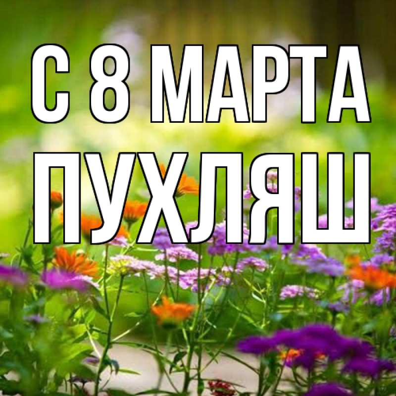 Картинка C 8 МАРТА, пухляш