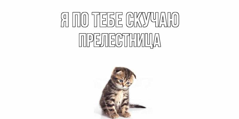 Картинка Я по тебе скучаю, пpелестница