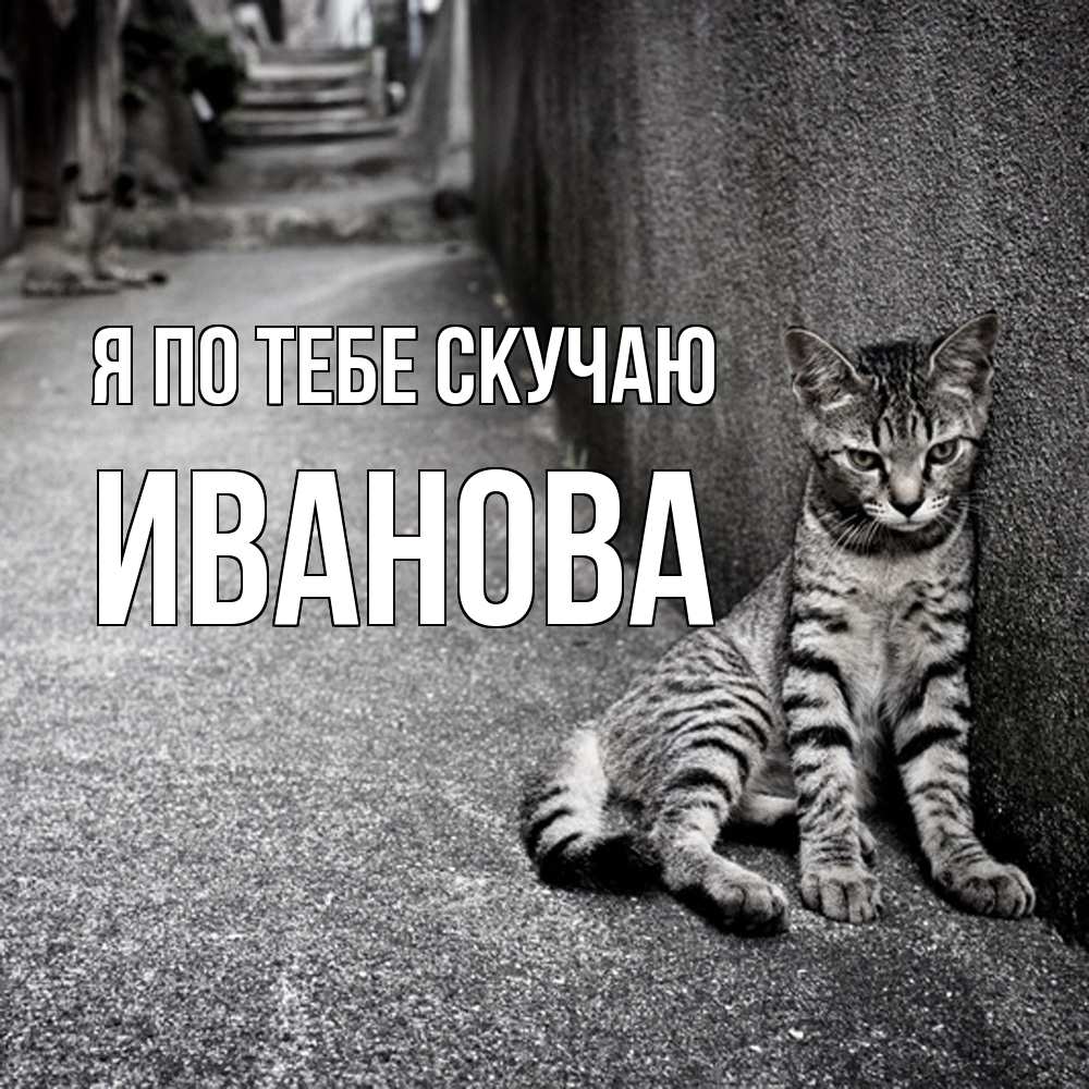 Открытка на каждый день с именем, Иванова Я по тебе скучаю одиноко котику Прикольная открытка с пожеланием онлайн скачать бесплатно 